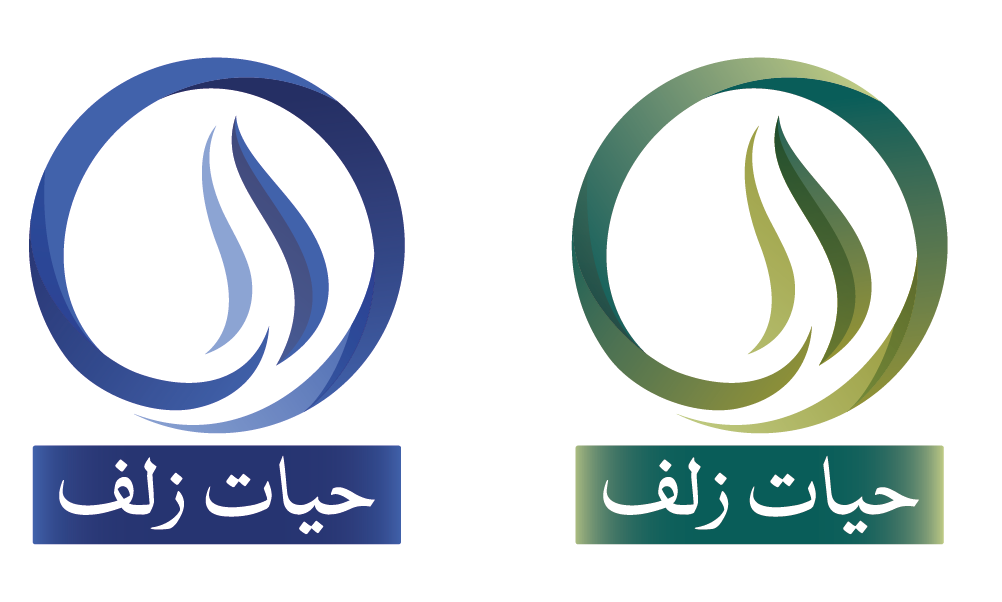 hayat zulf shampoo logo blue