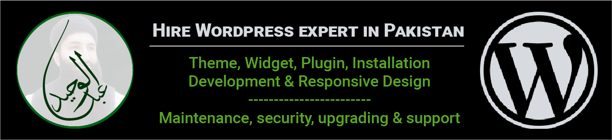 hire WordPress expert for theme customization and speed optimization